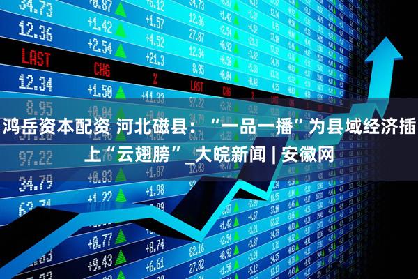 鸿岳资本配资 河北磁县：“一品一播”为县域经济插上“云翅膀”_大皖新闻 | 安徽网