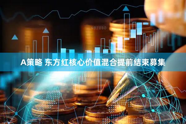 A策略 东方红核心价值混合提前结束募集