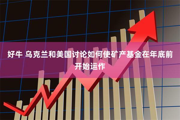 好牛 乌克兰和美国讨论如何使矿产基金在年底前开始运作