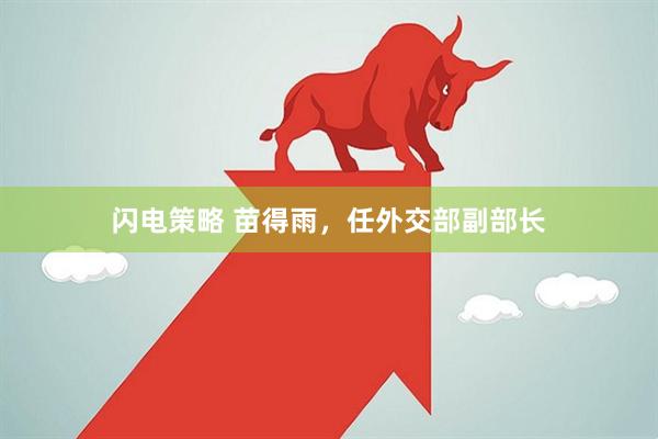闪电策略 苗得雨，任外交部副部长