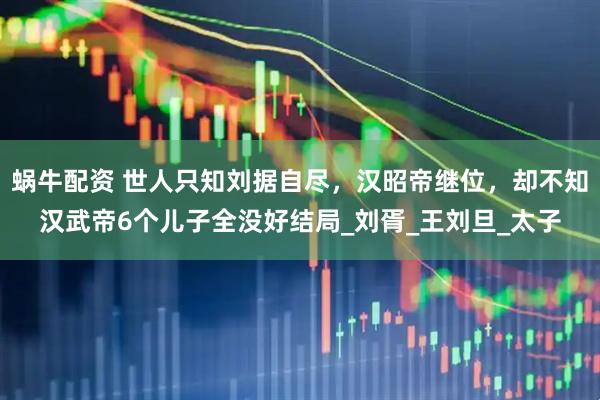蜗牛配资 世人只知刘据自尽，汉昭帝继位，却不知汉武帝6个儿子全没好结局_刘胥_王刘旦_太子