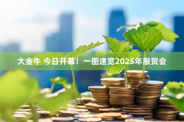 大金牛 今日开幕！一图速览2025年服贸会