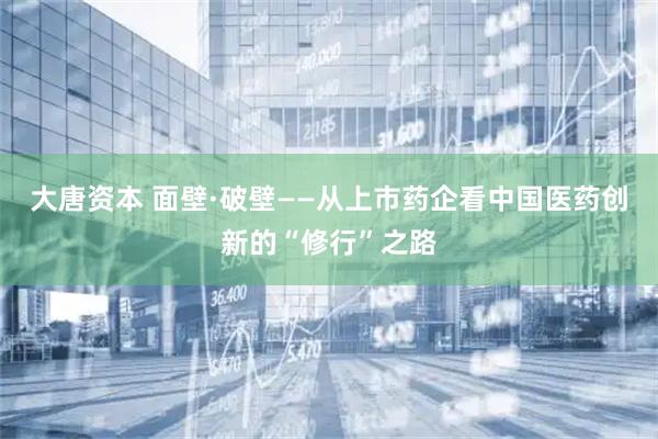 大唐资本 面壁·破壁——从上市药企看中国医药创新的“修行”之路